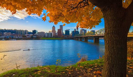 visa estados unidos tus origenes